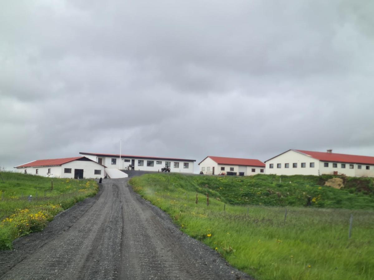 Fiflholt Villa Hvolsvöllur Dış mekan fotoğraf